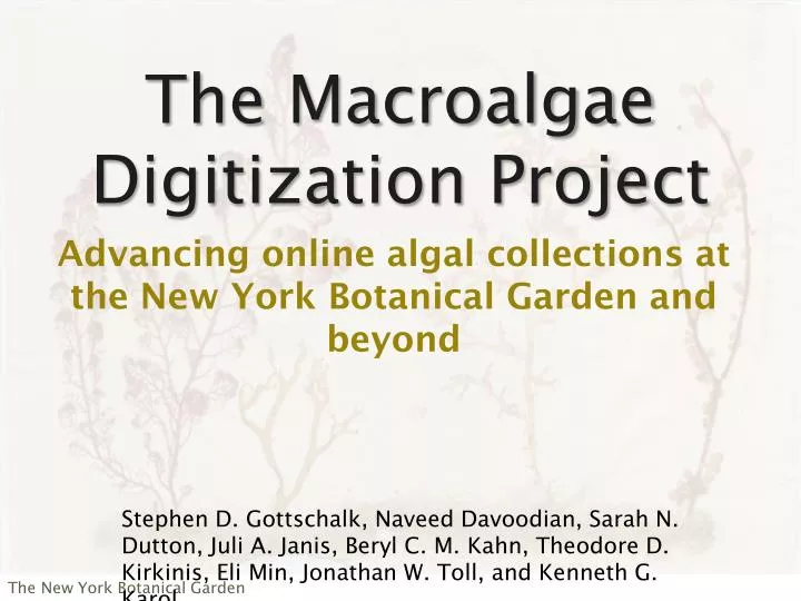 the macroalgae digitization project