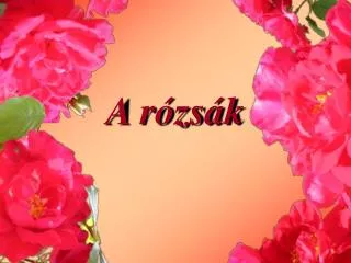 a r zs k