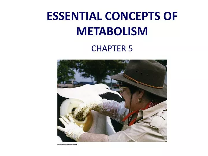 essential concepts of metabolism