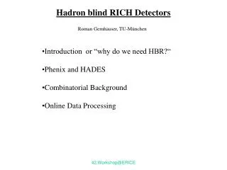 Hadron blind RICH Detectors