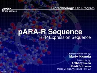 pARA-R Sequence