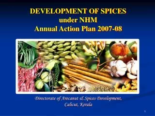 DEVELOPMENT OF SPICES under NHM Annual Action Plan 2007-08