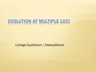Evolution at Multiple Loci