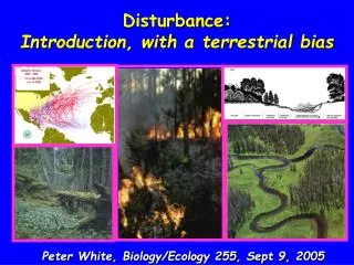Disturbance: Introduction, with a terrestrial bias