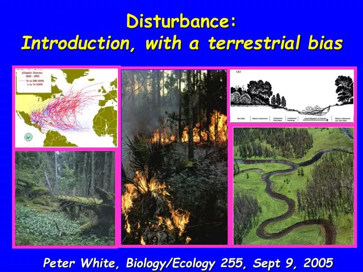 disturbance introduction with a terrestrial bias