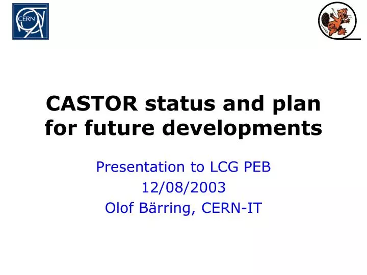 castor status and plan for future developments