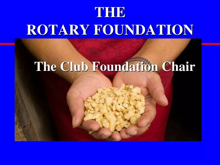 the rotary foundation