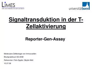 signaltransduktion in der t zellaktivierung