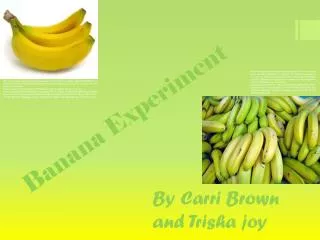 Banana Experiment