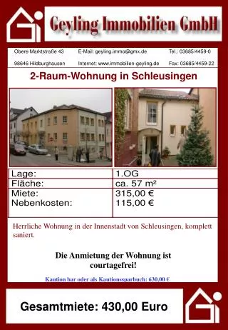 2 raum wohnung in schleusingen