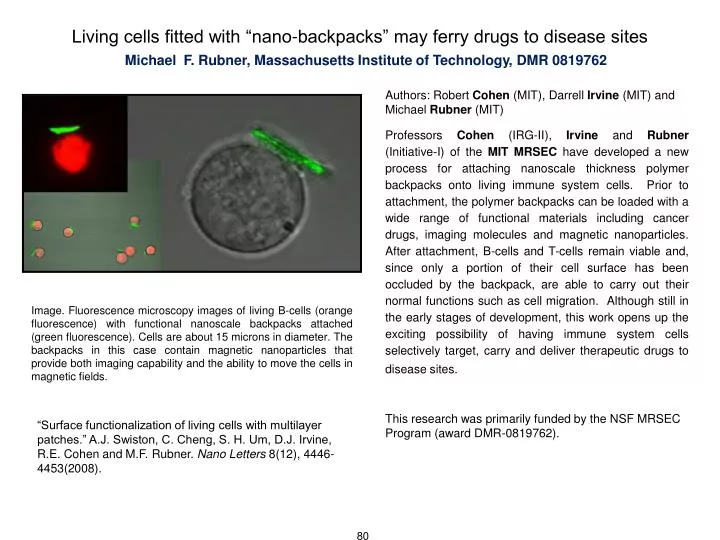 living cells fitted with nano backpacks may ferry drugs to disease sites