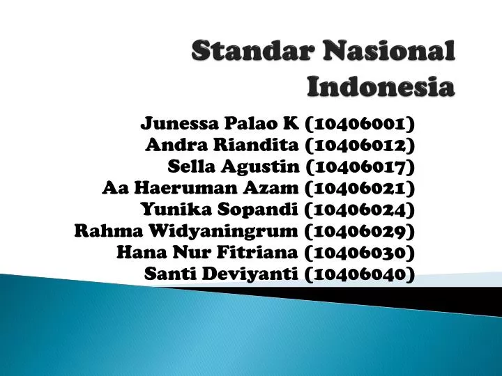 standar nasional indonesia