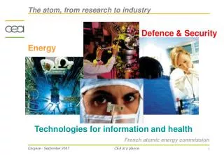 French atomic energy commission