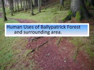 Human Uses of Ballypatrick Forest and surrounding area.