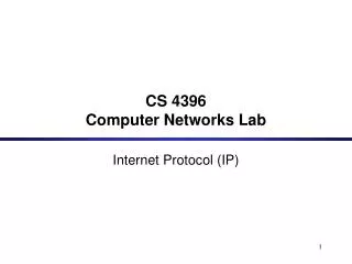 CS 4396 Computer Networks Lab