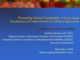 Camilla (Cammy) Lehr, Ph.D. National Center on Secondary Education and Transition (NCSET)