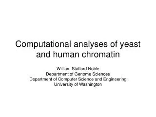 Computational analyses of yeast and human chromatin