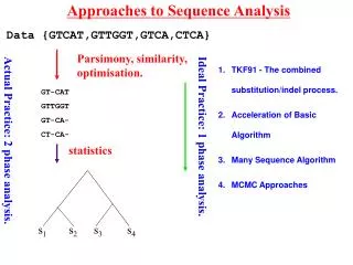 Approaches to Sequence Analysis