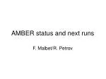 AMBER status and next runs - slide 1