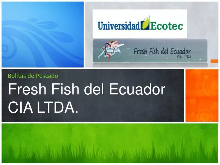 bolitas de pescado fresh fish del ecuador cia ltda