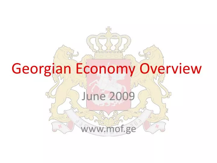 georgian economy overview