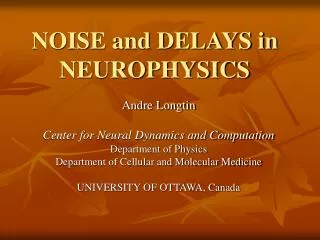 NOISE and DELAYS in NEUROPHYSICS