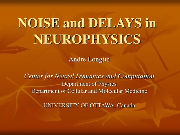 noise and delays in neurophysics