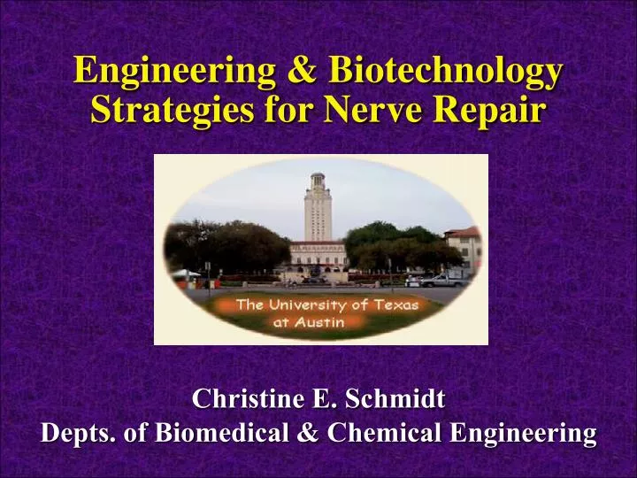 engineering biotechnology strategies for nerve repair