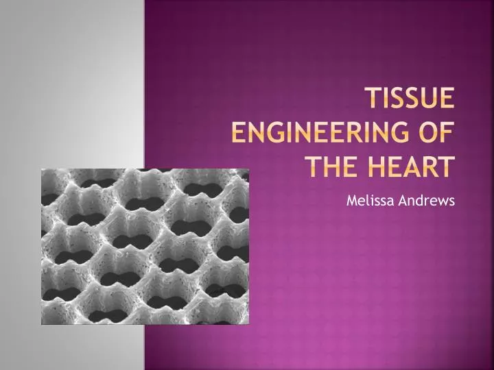 tissue engineering of the heart