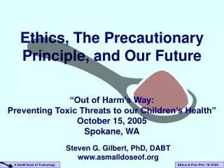 Ethics, The Precautionary Principle, and Our Future
