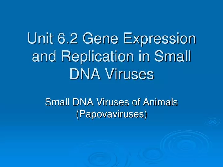 unit 6 2 gene expression and replication in small dna viruses