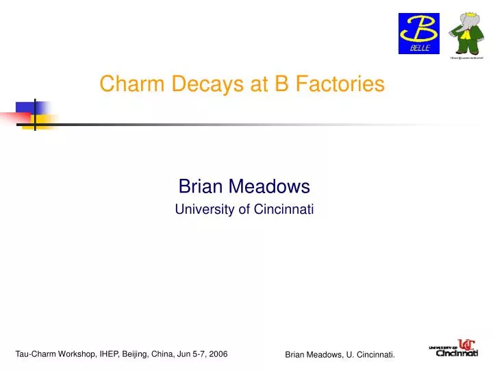 charm decays at b factories