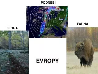 evropy