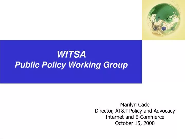 witsa public policy working group