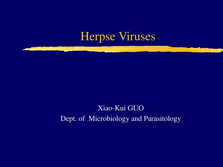 herpse viruses