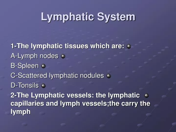 lymphatic system