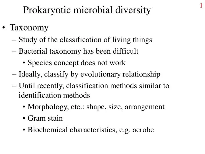 prokaryotic microbial diversity