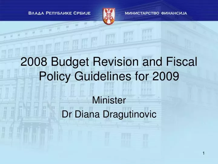 2008 budget revision and fiscal policy guidelines for 2009