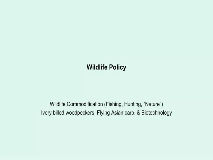 wildlife policy