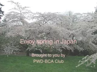 Enjoy spring in Japan