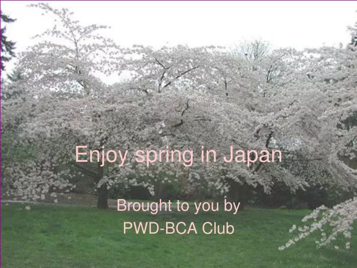 enjoy spring in japan