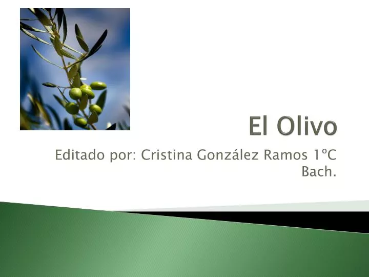 el olivo