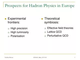 Prospects for Hadron Physics in Europe