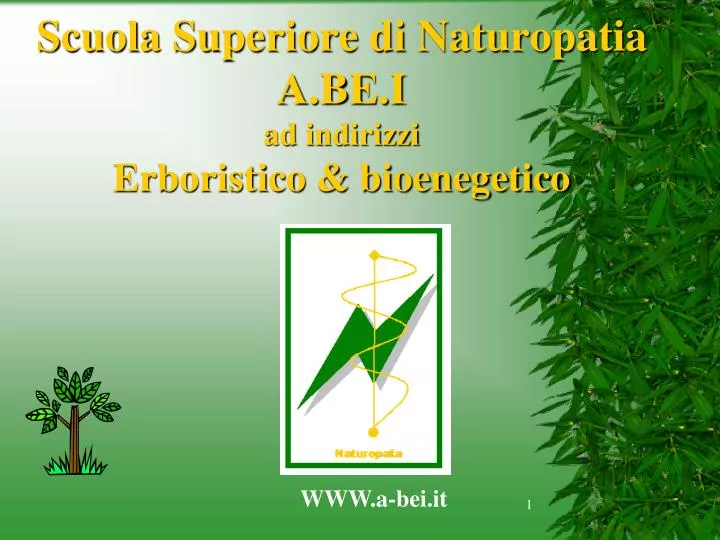 scuola superiore di naturopatia a be i ad indirizzi erboristico bioenegetico