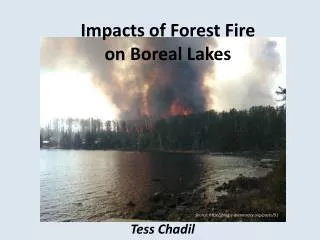 Impacts of Forest Fire on Boreal Lakes
