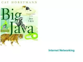 Internet Networking