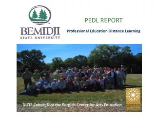 PEDL REPORT Professional Education Distance Learning