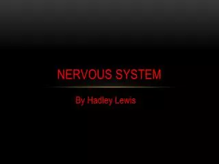 nervous system