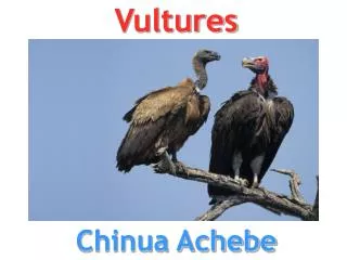 Vultures Chinua Achebe
