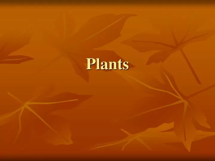 plants